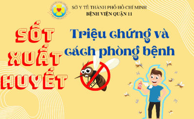 (HCDC) Sốt xuất huyết: Triệu chứng và cách phòng bệnh